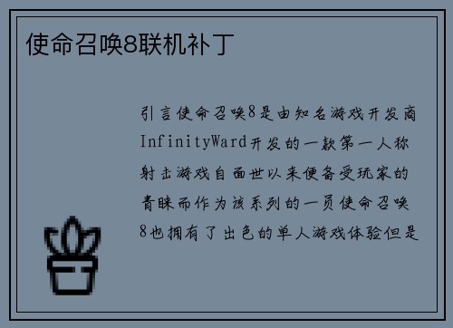 使命召唤8联机补丁